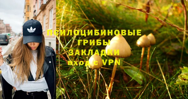 соль ск Михайловка