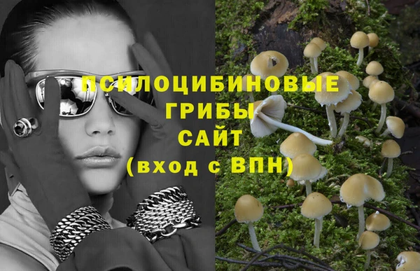 тгк Мегион